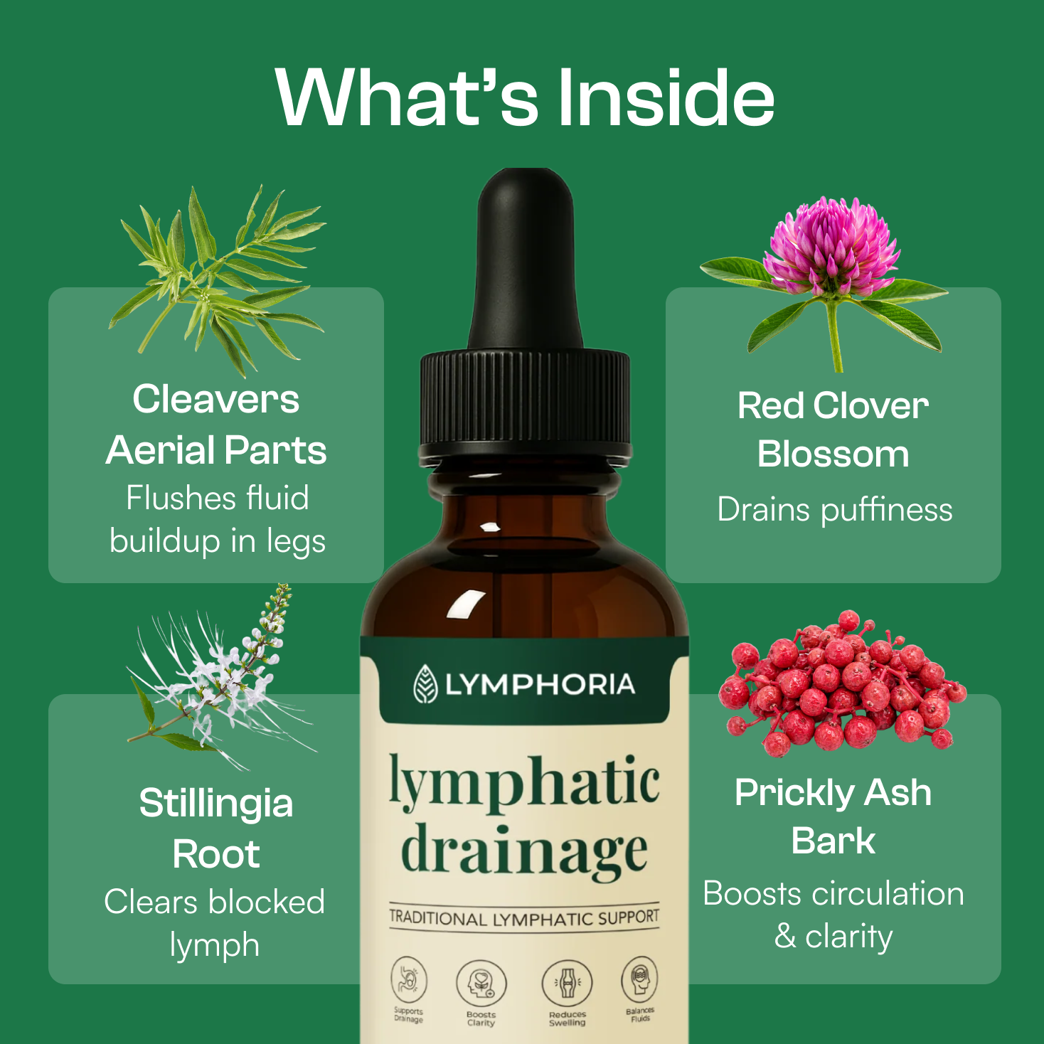 Lymph Reset